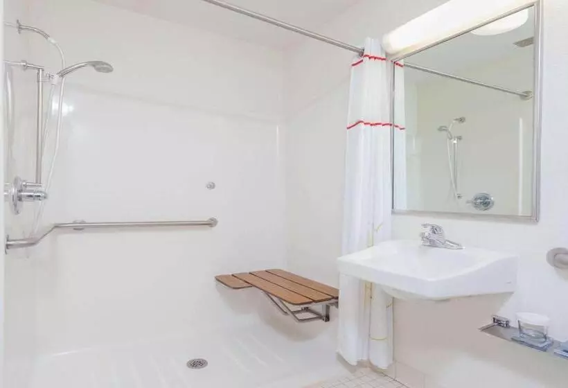身障者適用スイートルーム, Mainstay Suites Detroit Auburn Hills