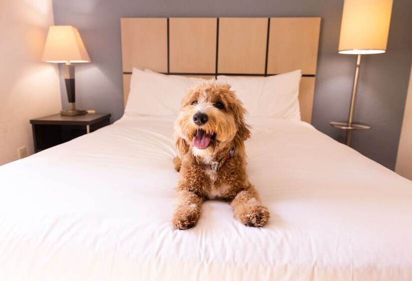Люкс Адаптированный для Инвалидов, Sonesta Simply Suites Des Moines