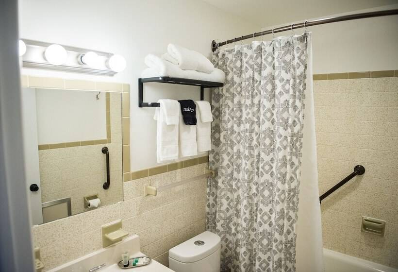 带2个双人床的标准工作室, The Carriage House At Strasburg