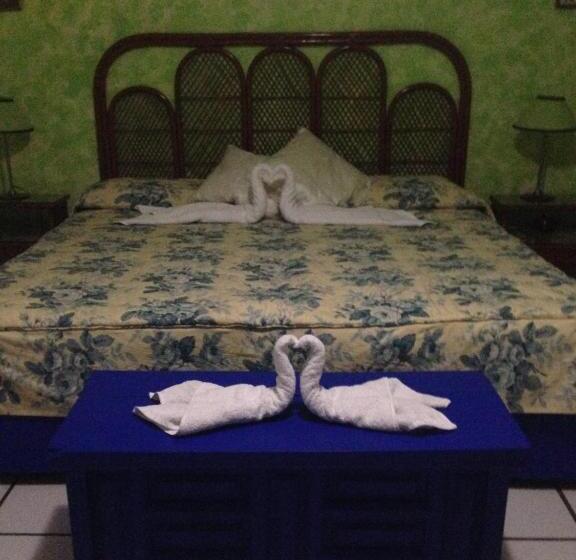 スタンダードルーム, La Casa De Los Globos