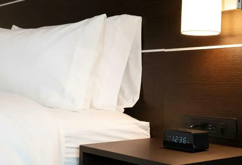 身障者適用キングサイズベッドルーム, Holiday Inn Express & Suites   Romeoville   Joliet North, An Ihg