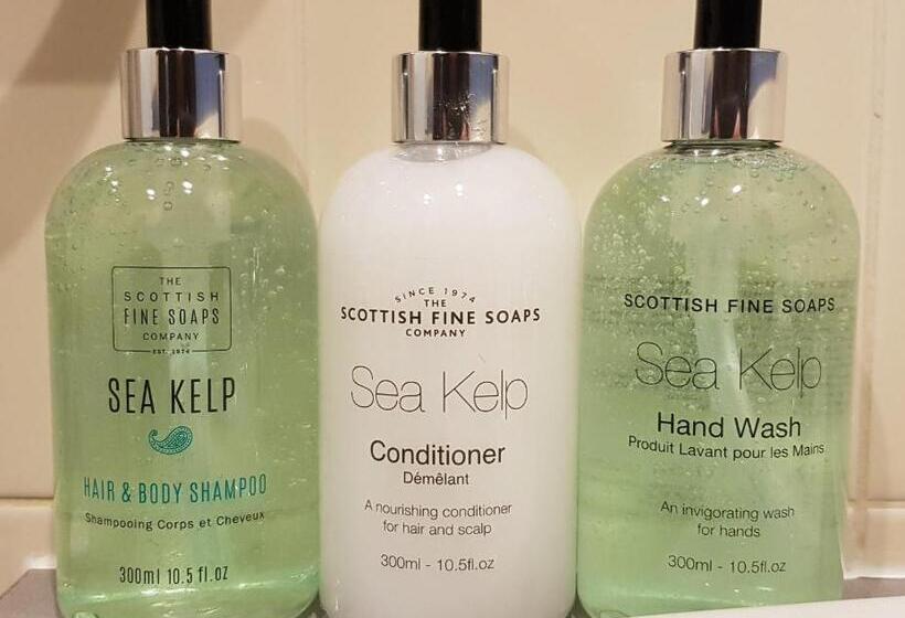 스탠다드 룸 산 전망, Clachaig Inn