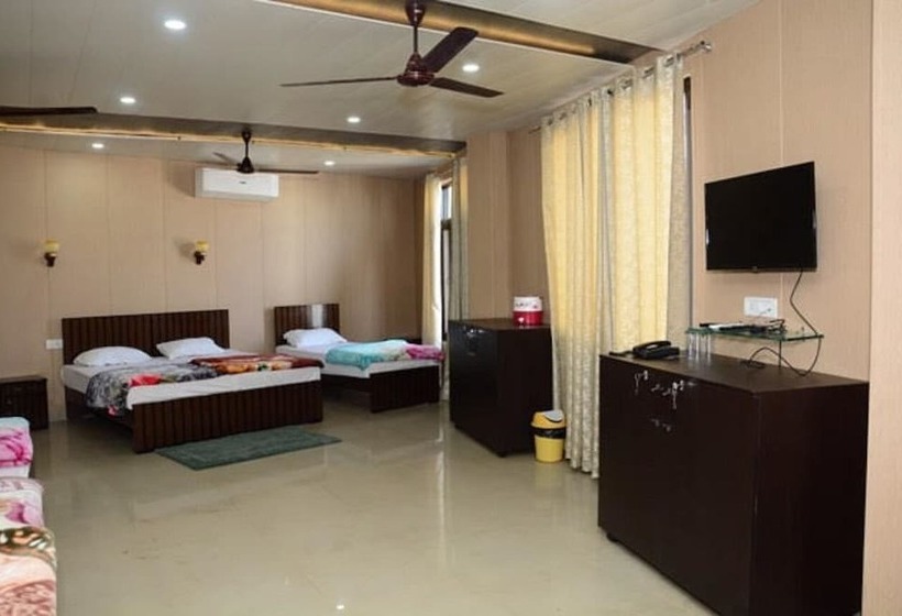 חדר דלוקס, Krazy