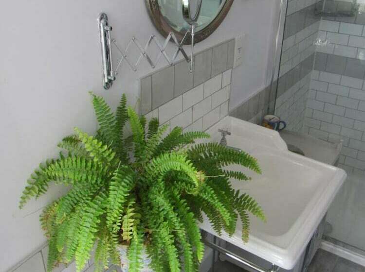 キングサイズベッドのデラックスルーム, Anne’s House