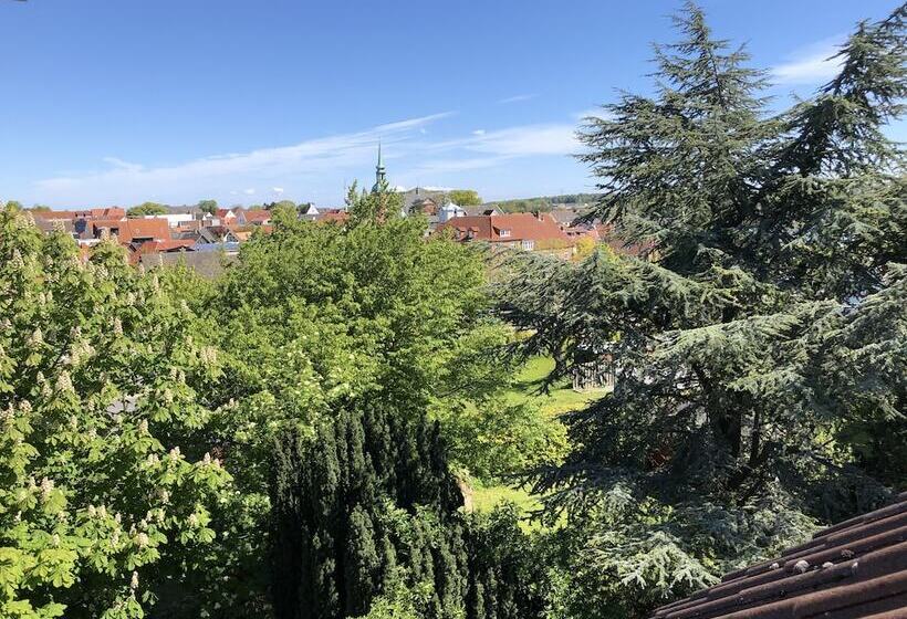 标准单人间, Schlei