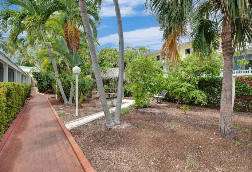 إستوديو قياسى, Coconut Mallory Resort And Marina