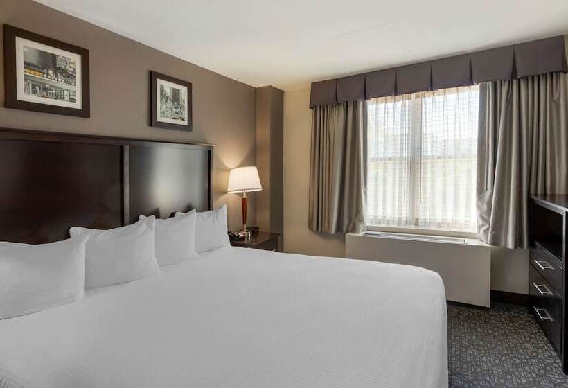 Номер бизнес-класса, Best Western Gregory