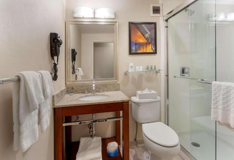 スタンダードルーム, Best Western Gregory