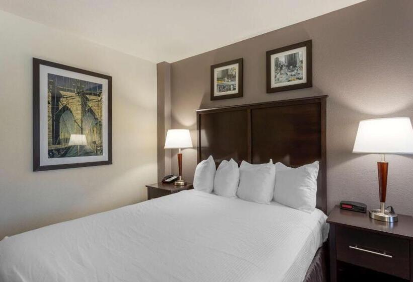 Номер Стандарт, Best Western Gregory