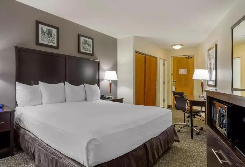 اتاق استاندارد با تخت بزرگ, Best Western Gregory