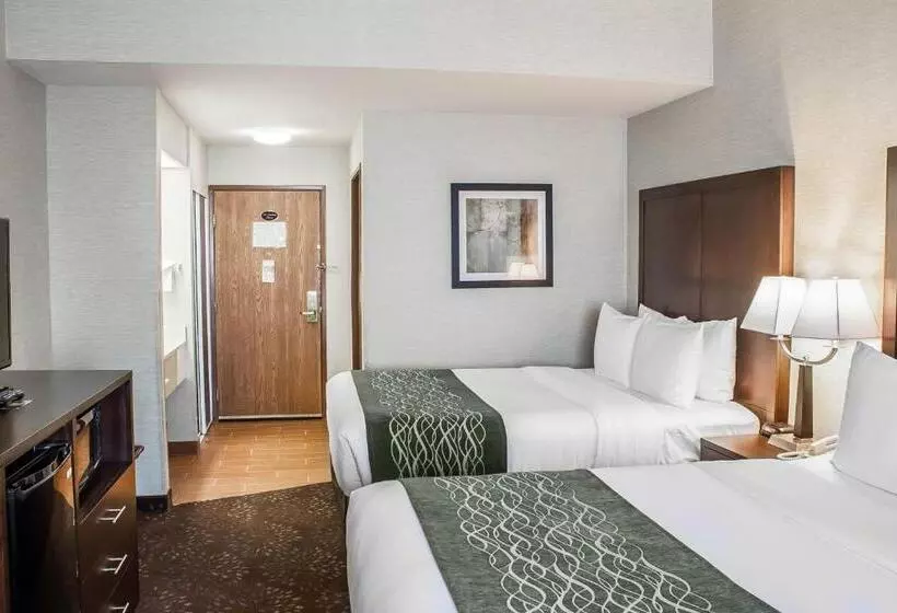 スタンダードルーム, Comfort Inn Federal Way  Seattle
