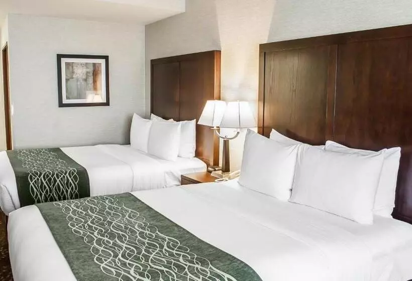 スタンダードルーム, Comfort Inn Federal Way  Seattle