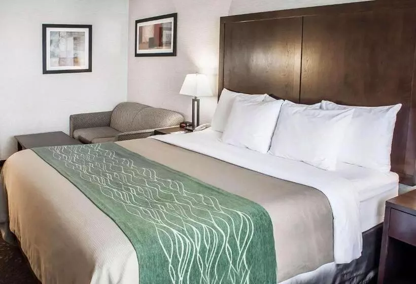 身障者適用キングサイズベッドルーム, Comfort Inn Federal Way  Seattle