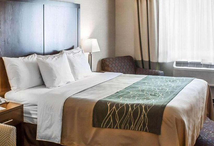 Номер Стандарт Кровать Кинг Адаптированный для Инвалидов, Comfort Inn Federal Way  Seattle