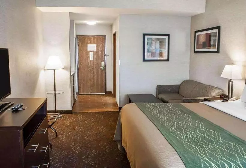 身障者適用キングサイズベッドルーム, Comfort Inn Federal Way  Seattle