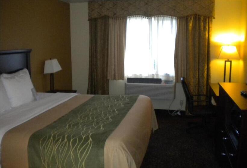 带大床的标准间, Comfort Inn Federal Way  Seattle