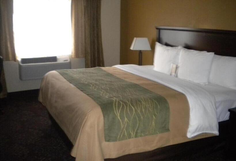 带大床的标准间, Comfort Inn Federal Way  Seattle