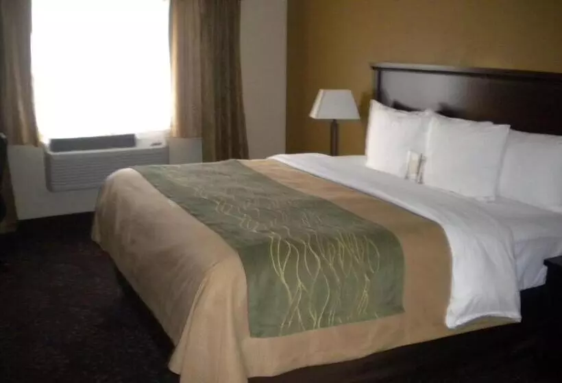 キングサイズベッドのスタンダードルーム, Comfort Inn Federal Way  Seattle