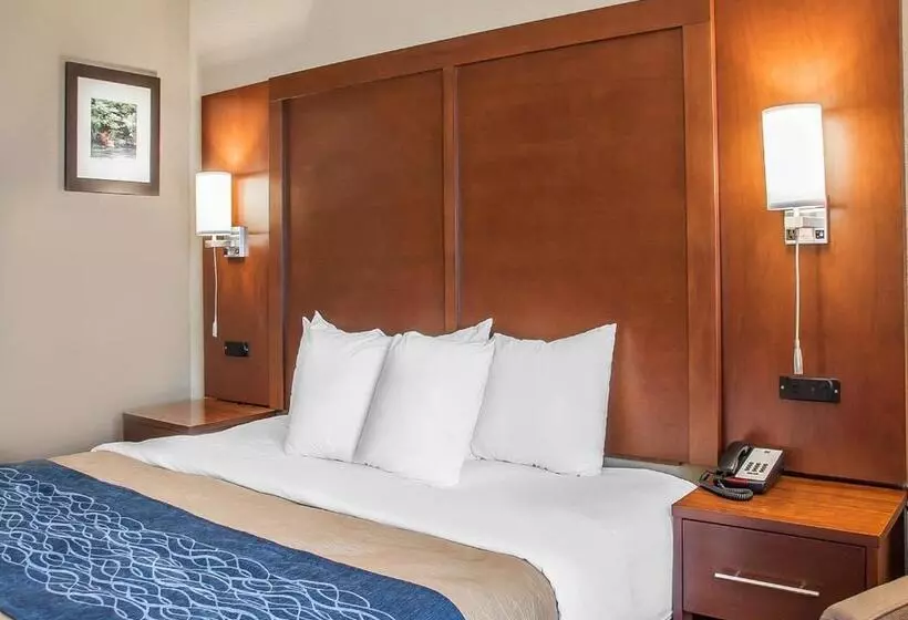 اتاق استاندارد با تخت بزرگ, Comfort Inn