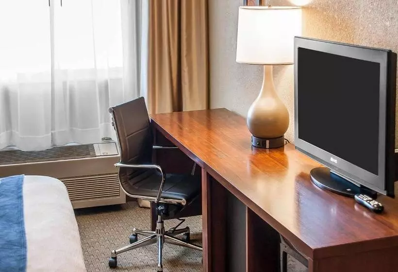 اتاق استاندارد با تخت بزرگ, Comfort Inn