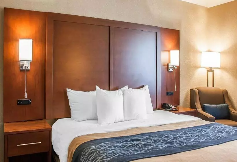 اتاق استاندارد با تخت بزرگ, Comfort Inn