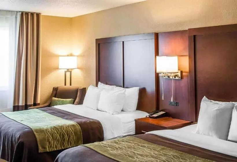 اتاق استاندارد, Comfort Inn