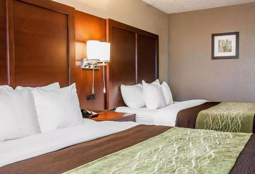 اتاق استاندارد, Comfort Inn