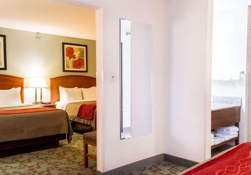 标准间, Comfort Inn Hastings