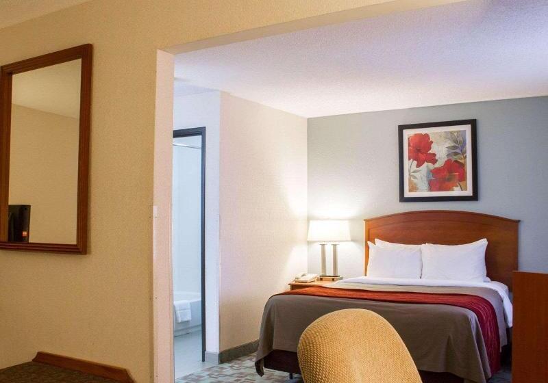 标准间, Comfort Inn Hastings