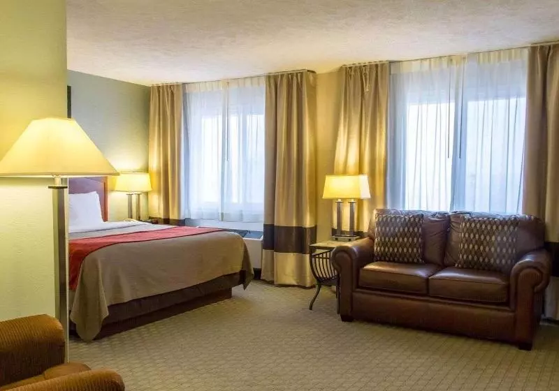 اتاق استاندارد با تخت بزرگ, Comfort Inn Hastings
