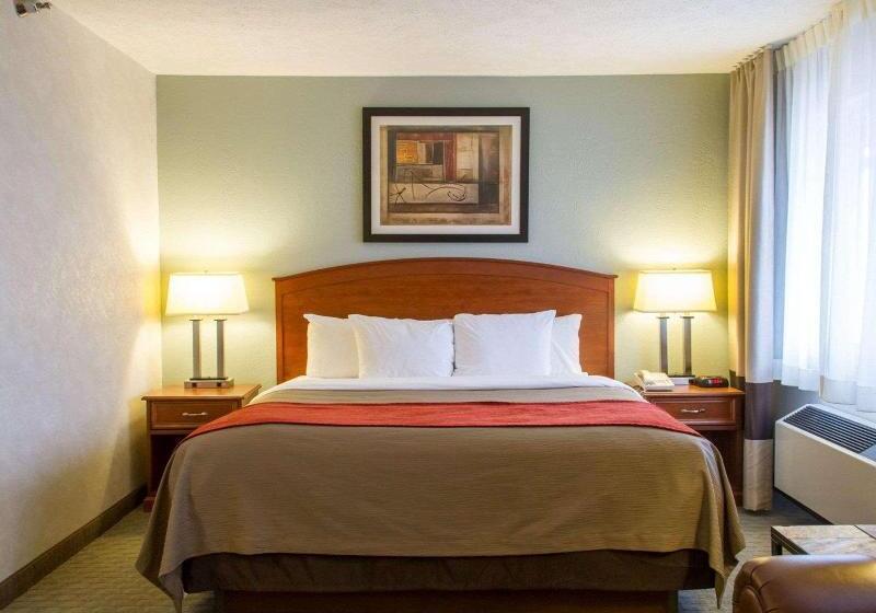 带大床的标准间, Comfort Inn Hastings