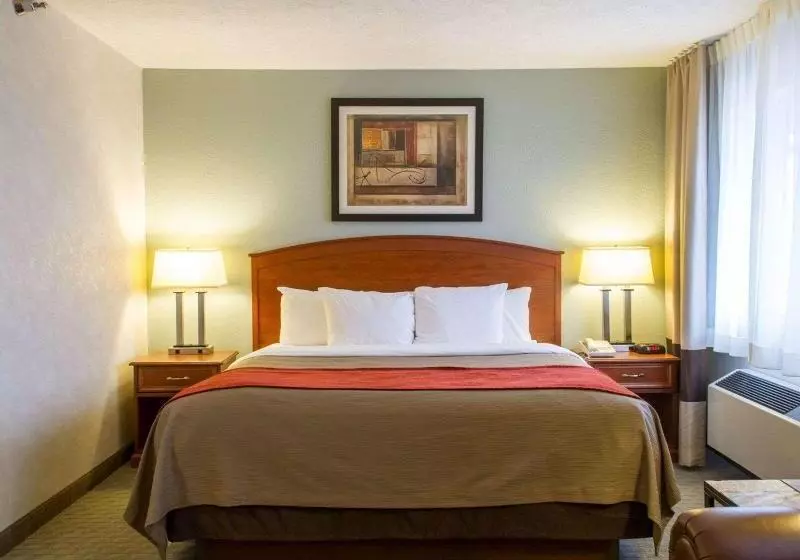 اتاق استاندارد با تخت بزرگ, Comfort Inn Hastings