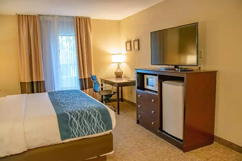 キングサイズベッドのスタンダードルーム, Comfort Inn Huntington Near University