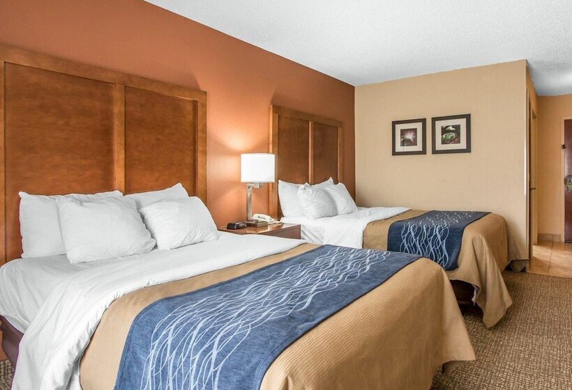 غرفه قياسيه سريرين مزدوجين, Comfort Inn