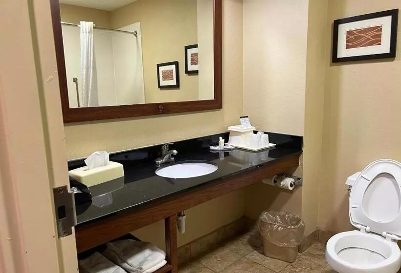 ２ダブルベッドのスタンダードルーム, Comfort Inn