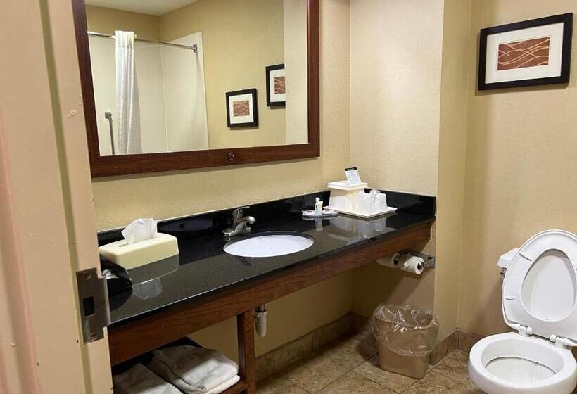 غرفة قياسية سرير كينج, Comfort Inn