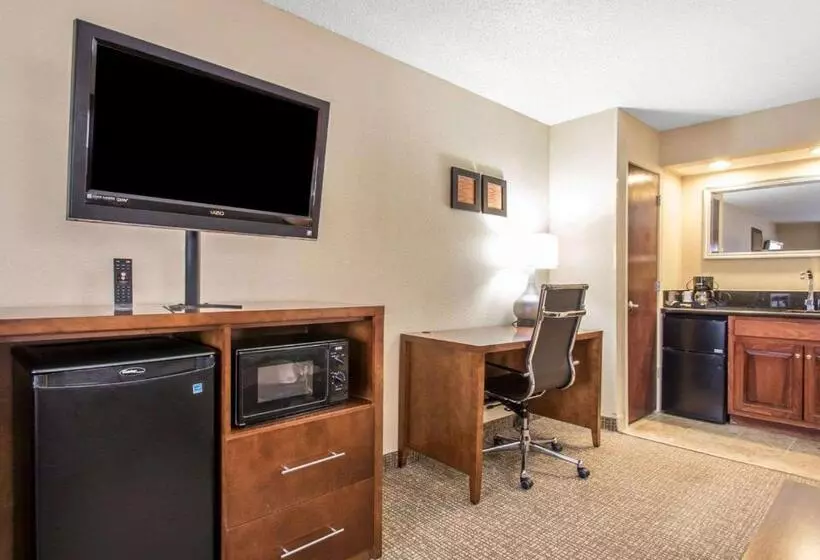 キングサイズベッドのスイートルーム, Comfort Inn
