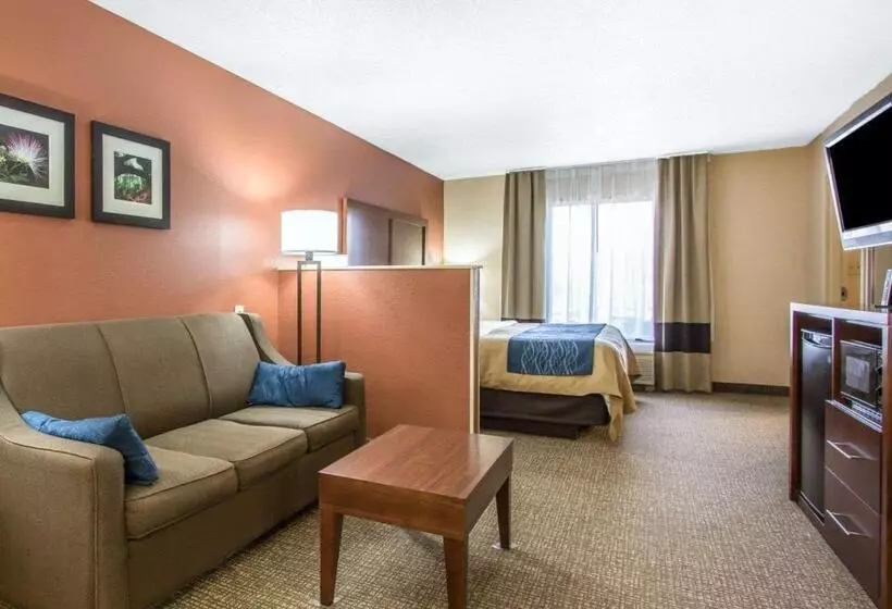 キングサイズベッドのスイートルーム, Comfort Inn