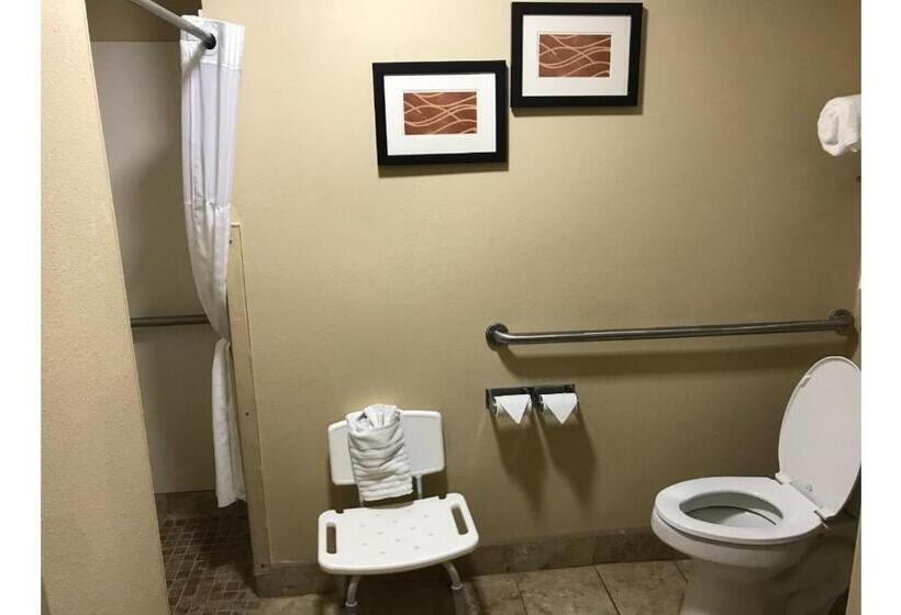 غرفة قياسية سرير كينج, Comfort Inn