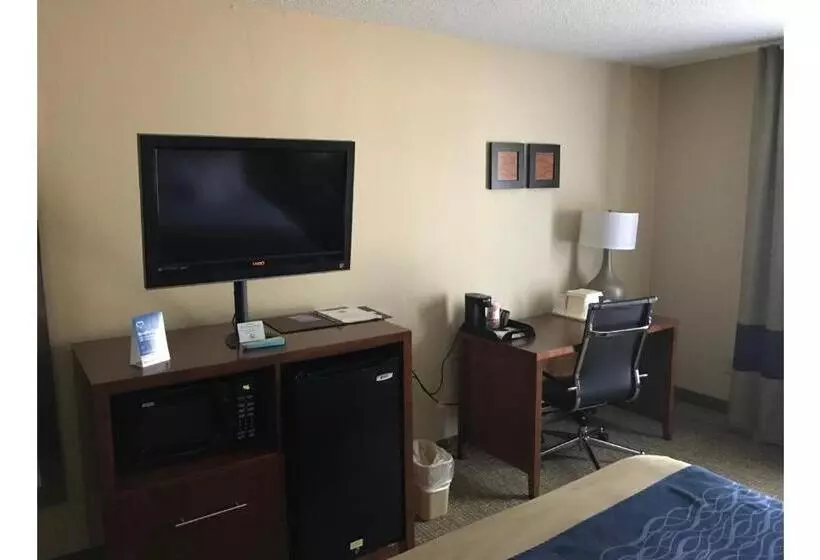 キングサイズベッドのスタンダードルーム, Comfort Inn