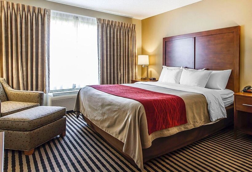 スタンダードルーム, Comfort Inn Owatonna Near Medical Center