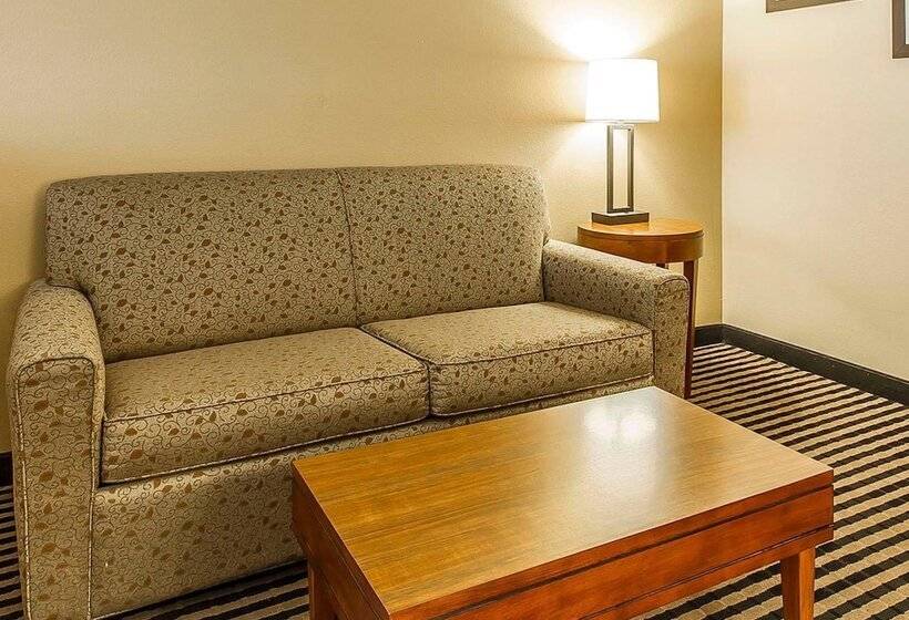 スタンダードルーム, Comfort Inn Owatonna Near Medical Center