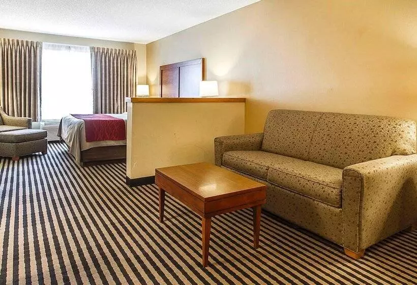 スタンダードルーム, Comfort Inn Owatonna Near Medical Center