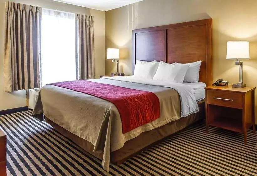 キングサイズベッドのデラックスルーム, Comfort Inn Owatonna Near Medical Center