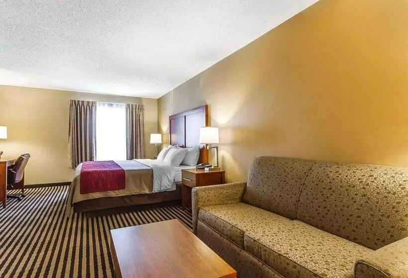 キングサイズベッドのデラックスルーム, Comfort Inn Owatonna Near Medical Center