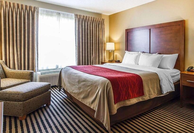 キングサイズベッドのスタンダードルーム, Comfort Inn Owatonna Near Medical Center