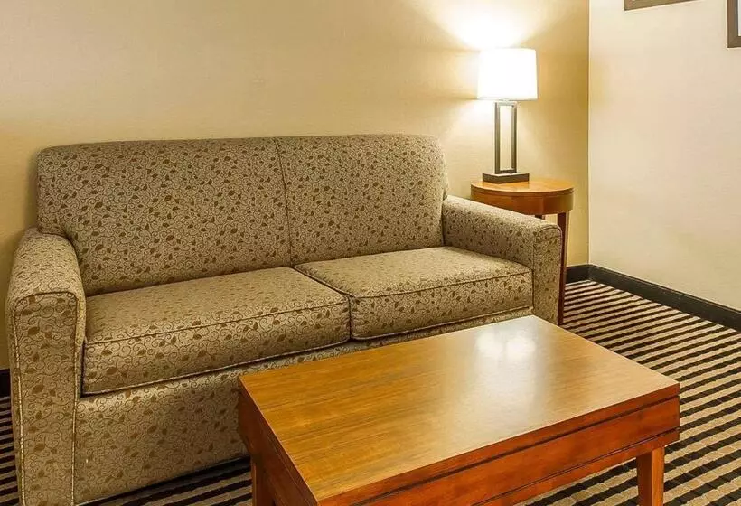 キングサイズベッドのスタンダードルーム, Comfort Inn Owatonna Near Medical Center