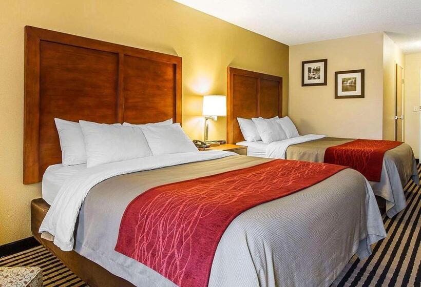 スタンダードルーム, Comfort Inn Owatonna Near Medical Center