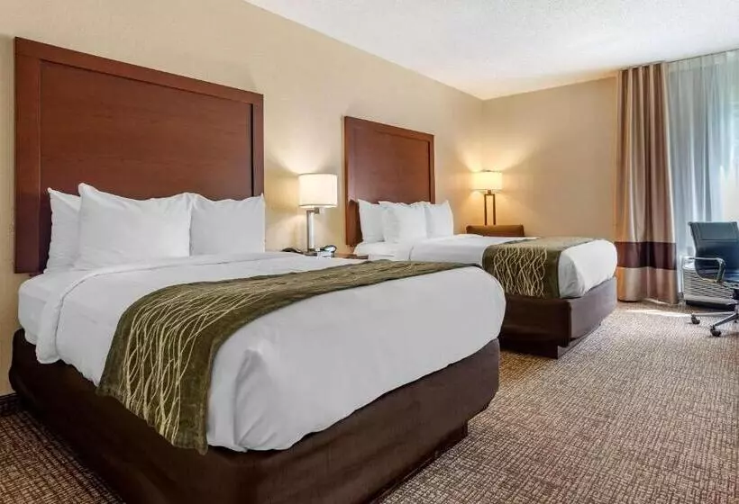 اتاق استاندارد با 2 تخت دوبل, Comfort Inn