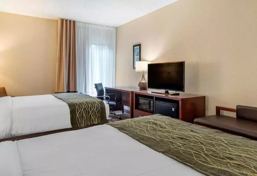 اتاق استاندارد با 2 تخت دوبل, Comfort Inn